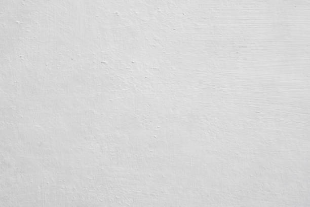 Best Mold Damage Restoration  in Bayard, NE