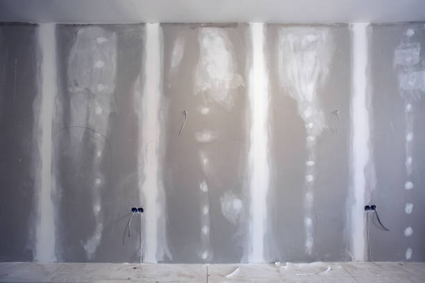 Biohazard Mold Removal in Bayard, NE